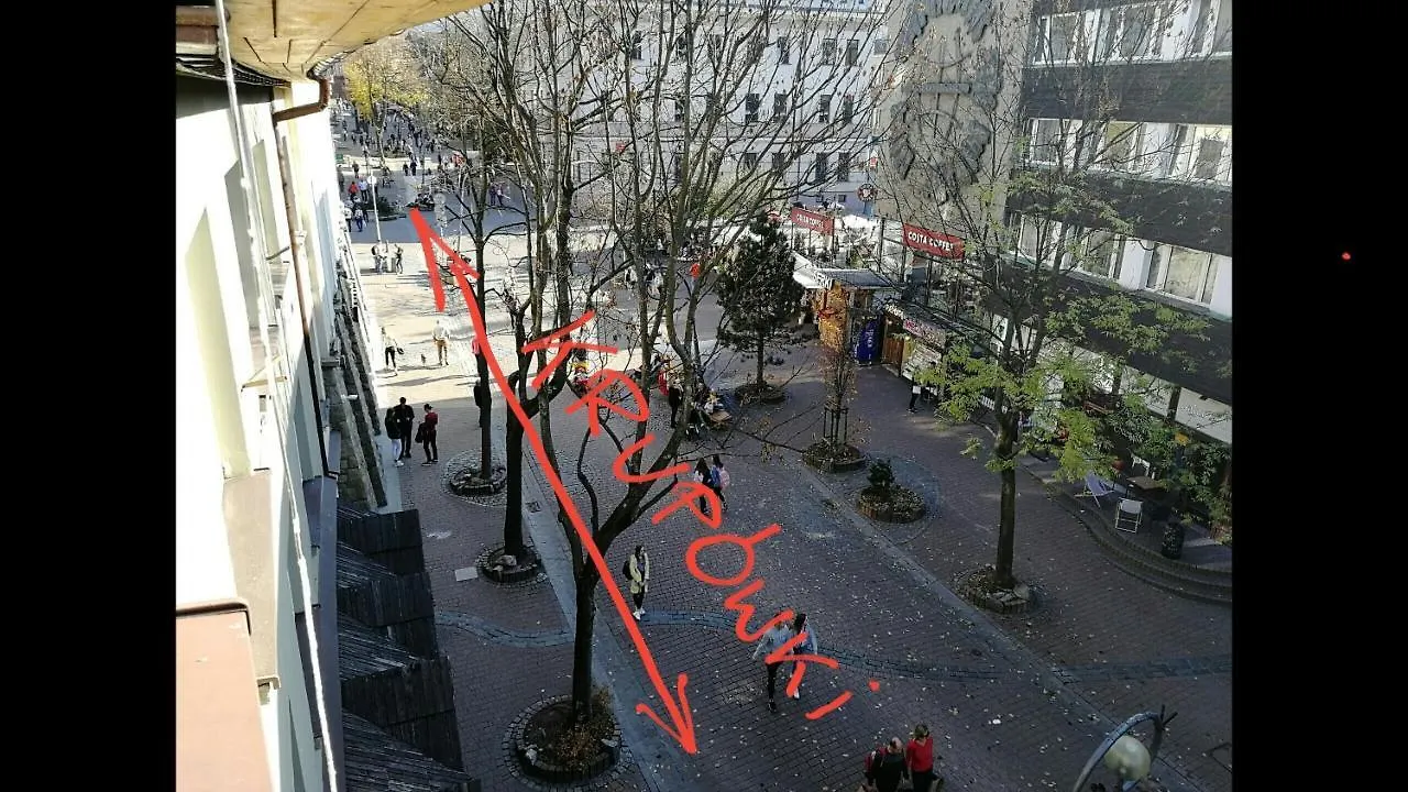 Pokoje Gościnne i Apartamenty Krupówki 19 Zakopane Apartamento